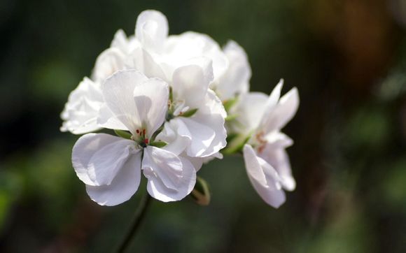 秘密app怎么样