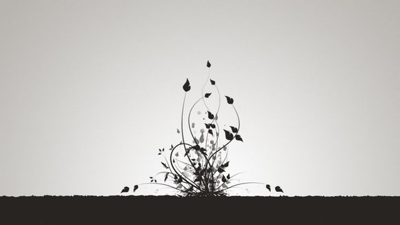 什么软件可以免费把pdf转换成word文档