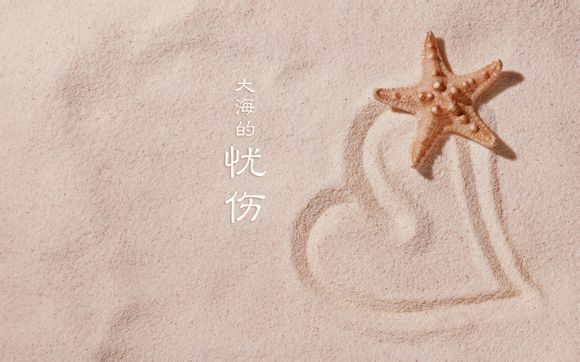 sao utils 2多少钱