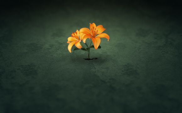 防病毒软件如何关闭