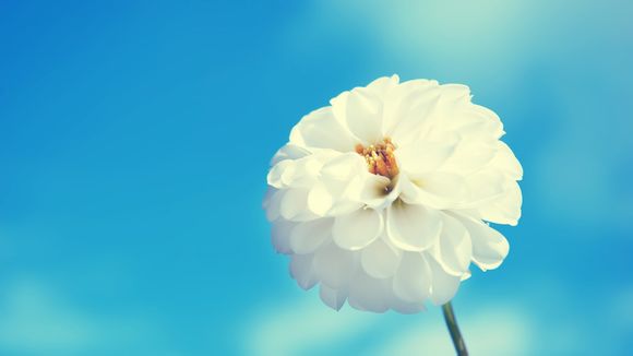 武侠网游排名