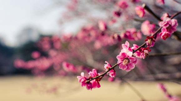 企业杀毒软件哪个最好